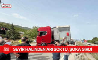 Seyir halindeyken arı soktu: