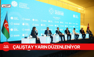 “Türk Dünyasının Genç Gücü: Bir Millet Üç Devlet Vizyonu Çalıştayı” düzenleniyor