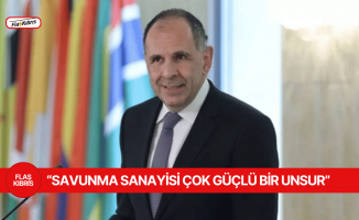 Yerapetritis: Türkiye ve Yunanistan arasındaki ilişkiler iki yıl öncesine göre çok daha iyi