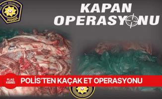 5 ton kaçak et ele geçirildi!