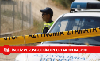 Kuzey'den Güney'e geçmeye çalışan 11 göçmen yakalandı
