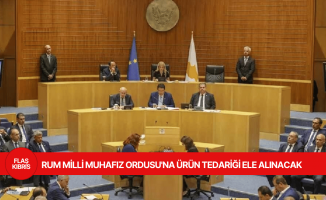 Rum Meclisi savunma sanayi konusunu görüşecek