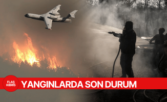 Türkiye genelinde devam eden orman yangınlarıyla mücadele kesintisiz sürüyor.