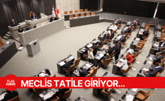 Yasama ve denetim görevi birleştirildi
