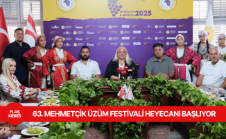 63. Mehmetçik Üzüm Festivali 29 Temmuz Salı günü başlıyor