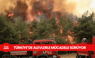 6 ilde alevlerle mücadele sürüyor