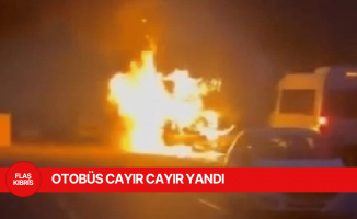 Park halindeki otobüs cayır cayır yandı