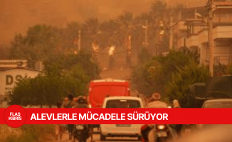 Türkiye'nin dört bir yanında alevlerle mücadele sürüyor