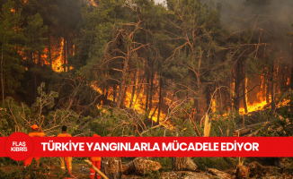 Türkiye’nin 5 ilinde alevlerle mücadele sürüyor