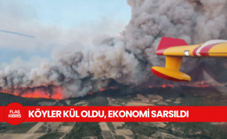 Fransa’daki orman yangınında Paris’ten daha büyük bir alan yok oldu