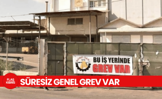 Koop-Sen, Koop-Süt, Zirai Levazım ve Binboğa Yem Kooperatifi'nde süresiz genel grev başlatıldı!