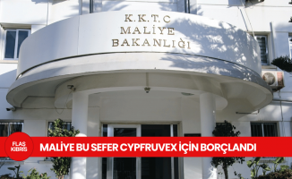 Maliye, Cypfruvex için 120 Milyon TL Borçlandı
