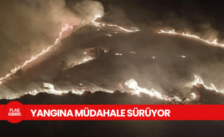Marmara Adası'nda orman yangını