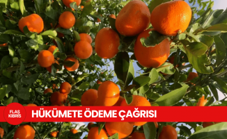 Narenciye üreticilerinden hükümete ödeme çağrısı