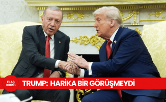 Beyaz Saray'da Erdoğan-Trump zirvesi