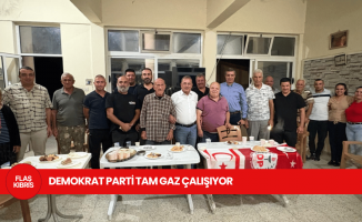 Demokrat Parti, Cumhurbaşkanlığı seçimleri için çalışmalarını sürdürüyor