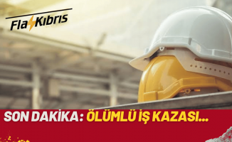 Akaryakıt üretimi yapan reaktörün tank kısmında hareketsiz halde bulunan Niyazoveaktör yaşamını yitirdi