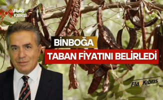 Binboğa harnup taban alım fiyatını belirledi
