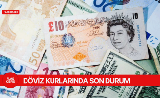 Döviz kurlarında bugün