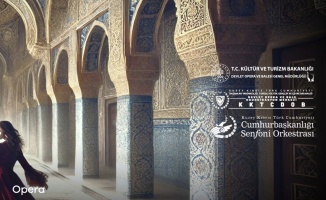 'Saraydan Kız Kaçırma' operası Kapalı gişe oynuyor