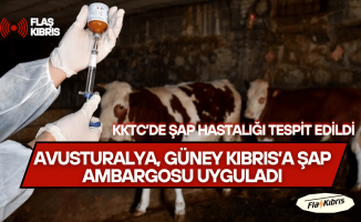 Avusturalya’dan Güney Kıbrıs’a KKTC’deki şap hastalığı nedeniyle ambargo