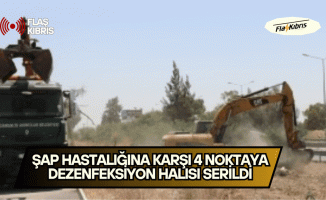 Değirmenlik Akıncılar Belediyesi: Şap hastalığına karşı 4 noktaya dezenfeksiyon halısı serildi
