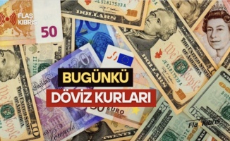 Dolar ve Euro’dan yeni rekor