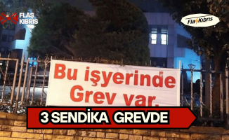 Kamuda görevli 3 sendika bugün Gazimağusa Gelir ve Vergi Dairesi’nde 3 saatlik uyarı grevi gerçekleştirecek