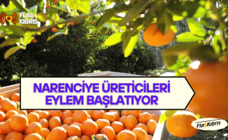 Narenciye üreticileri eylem başlatıyor