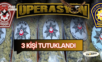 Narkotik’ten Kurt Kapanı operasyonu