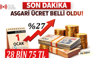Türkiye'de 2026 yılı için asgari ücret belirlendi