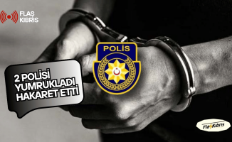Alkollü şahıs, olay yerine çağrılan polisleri darp etti