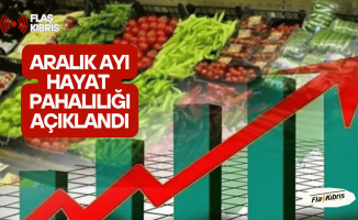 Aralık ayı hayat pahalılığı yüzde 3.39