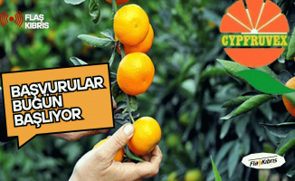 Cypfruvex, narenciye alım fiyatlarını açıklad