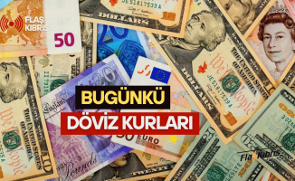 Dolar rekor tazeledi
