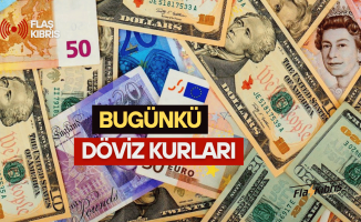 Döviz kurlarında bugün