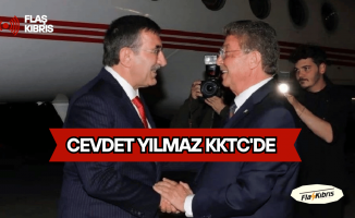 Türkiye Cumhurbaşkanı Yardımcısı Cevdet Yılmaz KKTC'de
