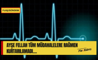 bAcı haber... Tüm müdahalelere rağmen kurtarılamadı/b