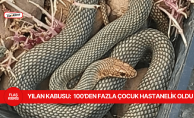 bOkul yemeğinde ölü yılan bulundu, 100#039;den fazla çocuk hastalandı/b