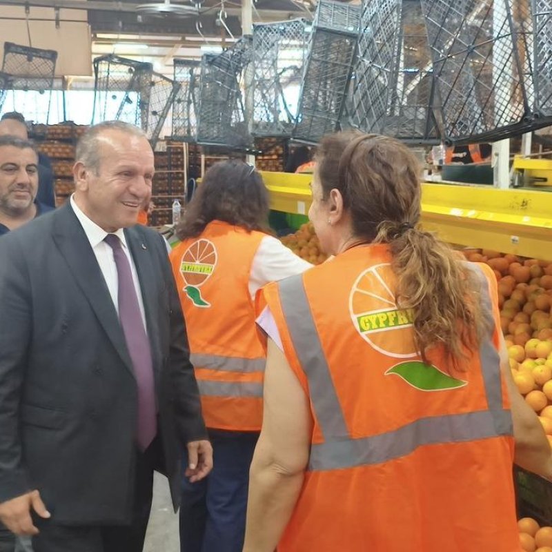 Ataoğlu, Cypfruvex portakal fabrikasını ziyaret etti