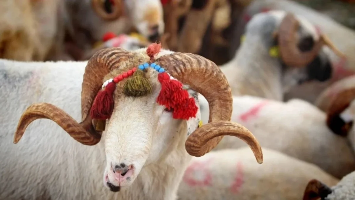 Kurban Bayramı bugün sona eriyor