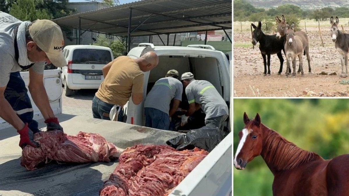 Yine aynı il yine aynı skandal: Vatandaşa at ve eşek eti yedirdiler
