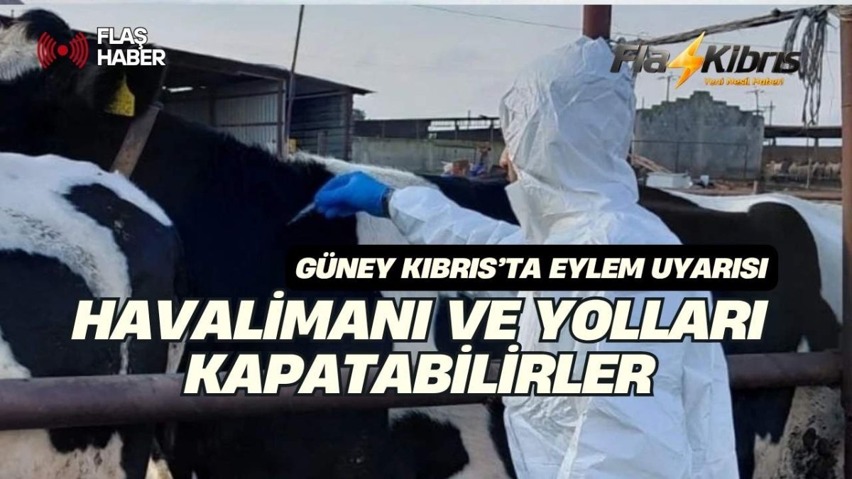 Güney Kıbrıs’ta hayvancılardan eylem uyarısı