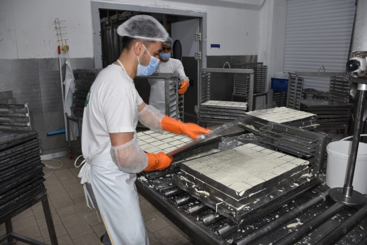 KSTO: Yeşil Hat üzerinden hellim ihracatındaki engel kalkıyor