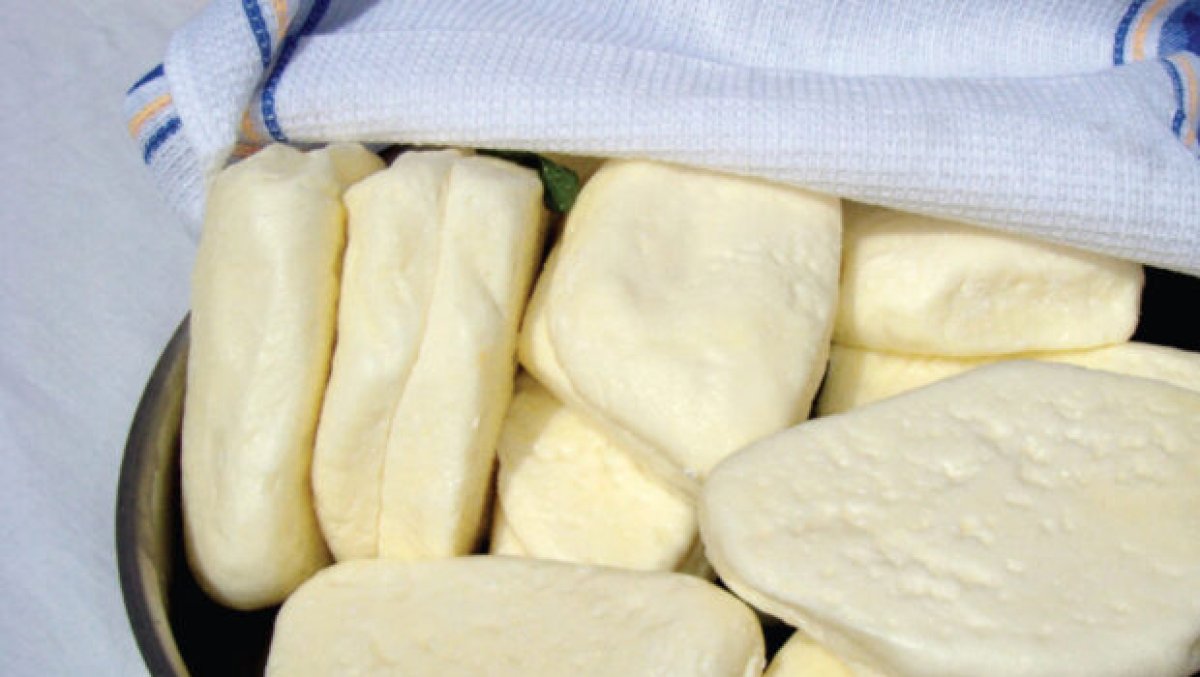 Güney Kıbrıs'ta hellim üretimi tehlikede: Salgın büyürse sektör sarsılabilir