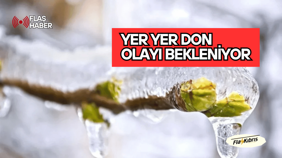 Yarın ve Çarşamba sabah saatlerinde yer yer don olayı bekleniyor