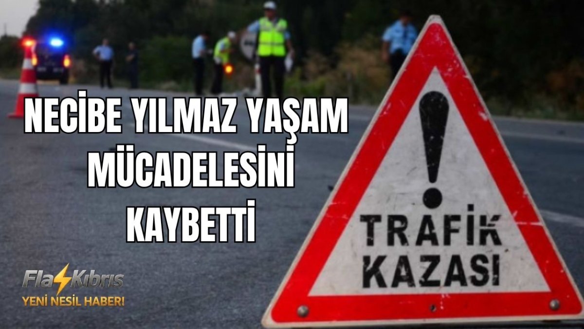 Ölümlü kaza: Necibe Yılmaz hayatını kaybetti