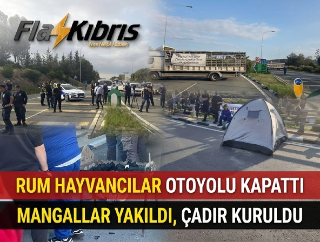 Rum Hayvancılar Güney Kıbrıs’ta Hayatı Felç Etti