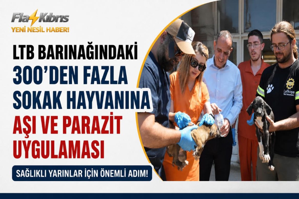 Lefkoşa Barınağı’ndaki hayvanlara sağlık kontrolü