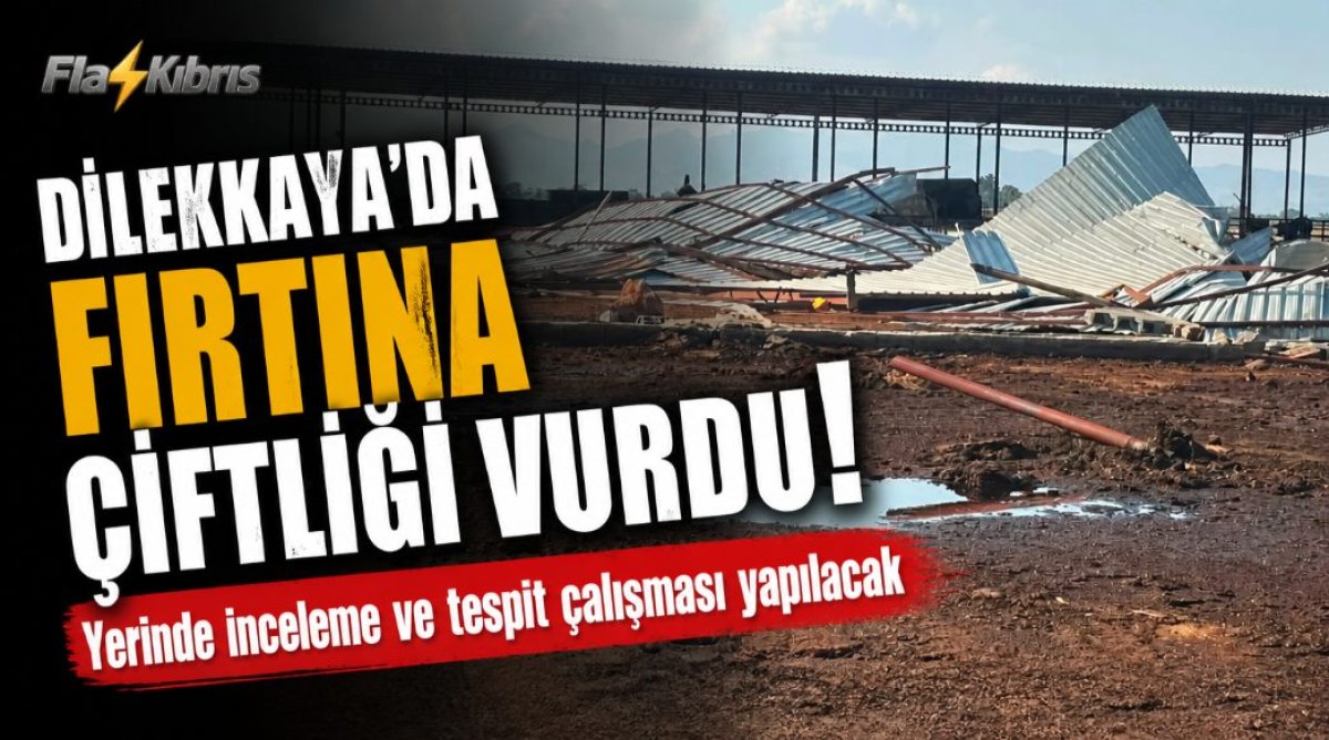 Dilekkaya’da fırtına çiftliği vurdu